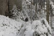 2010_11_28_-_11_25_12_Elbsandsteingebirge