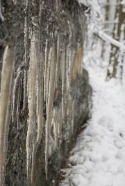 2010_11_28_-_12_21_54_Elbsandsteingebirge