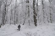 2010_11_28_-_12_52_08_Elbsandsteingebirge