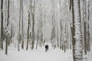 2010_11_28_-_14_22_46_Elbsandsteingebirge