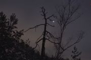 2010_11_28_-_17_32_30_Elbsandsteingebirge