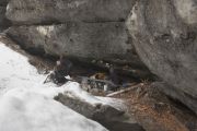 2010_11_29_-_08_45_18_Elbsandsteingebirge