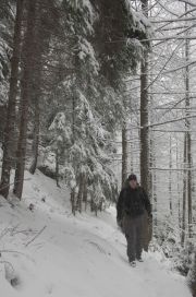 2010_11_29_-_10_30_56_Elbsandsteingebirge