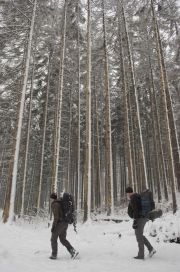 2010_11_29_-_10_39_40_Elbsandsteingebirge