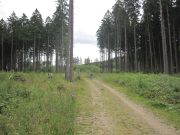 Erbeskopfmarathon 2011 035