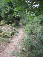 Erbeskopfmarathon 2011 038