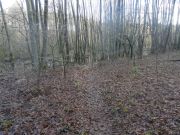 Gulaschtour 13 025