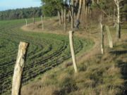 Gulaschtour 13 039_001