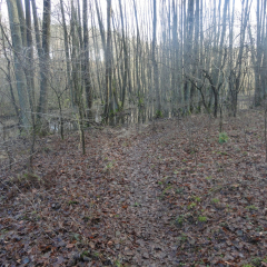 Gulaschtour 13 025