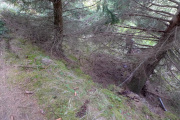 UNADJUSTEDNONRAW_thumb_78f8