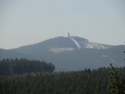 La Palma Feb_14_Harz 243_001