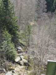 La Palma Feb_14_Harz 245_001