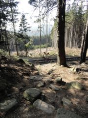 La Palma Feb_14_Harz 250_001