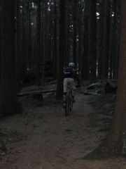 La Palma Feb_14_Harz 279