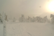 2003