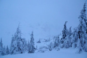 2010