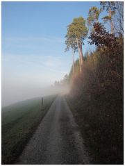 IMG_5106