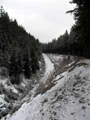 Th_ringen_20080101_099