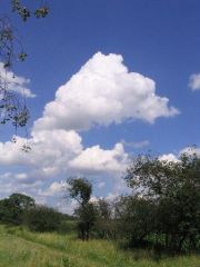 09_G
