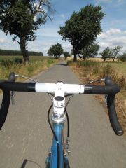 Weinb__hla-L__bben_03