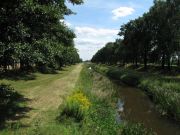 Weinb__hla-L__bben_08