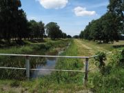 Weinb__hla-L__bben_09