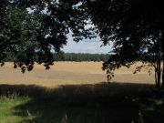 Weinb__hla-L__bben_10