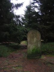 Frankenwald_Schiefergebirge_07