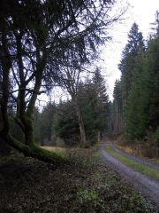 Frankenwald_Schiefergebirge_10