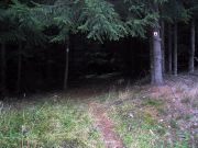 Frankenwald_Schiefergebirge_11