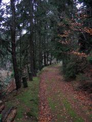 Frankenwald_Schiefergebirge_12