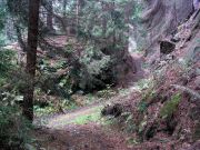 Frankenwald_Schiefergebirge_13