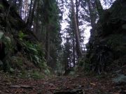 Frankenwald_Schiefergebirge_14