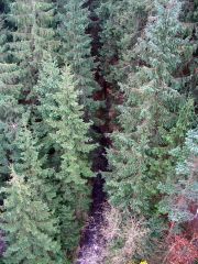 Frankenwald_Schiefergebirge_22