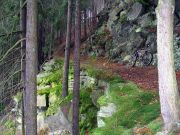 Frankenwald_Schiefergebirge_24