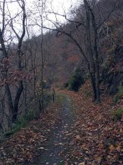 Frankenwald_Schiefergebirge_25