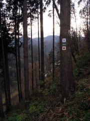 Frankenwald_Schiefergebirge_29