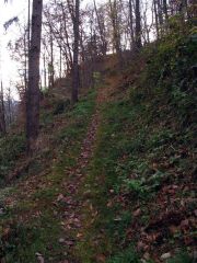 Frankenwald_Schiefergebirge_30