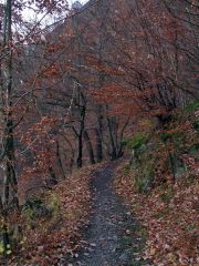 Frankenwald_Schiefergebirge_31