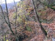 Frankenwald_Schiefergebirge_32