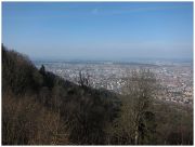 IMG_2098 _1280x768_