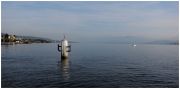 IMG_4661