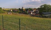 IMAG0431