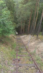 IMAG0447