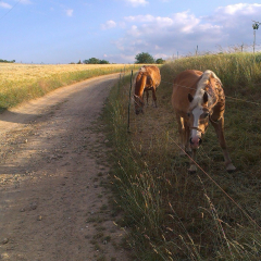 IMAG0428