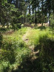 12_Semmeringrunde