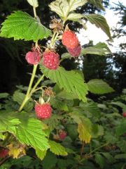 17_Semmeringrunde