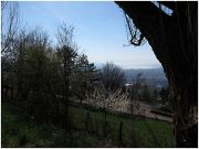 IMG_2135 _1024x768_