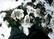 13_Schneesohlen