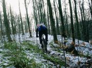 16_On_the_trail